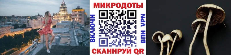 Галлюциногенные грибы Cubensis  Трёхгорный 